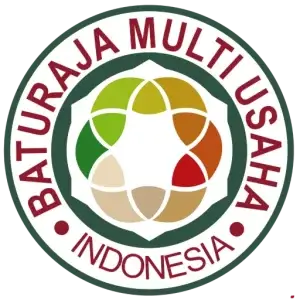 Logo BMU
