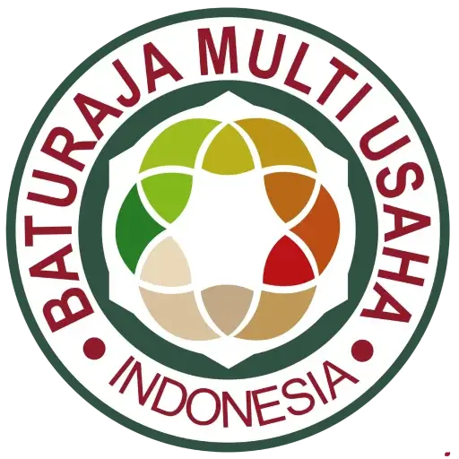 Logo BMU
